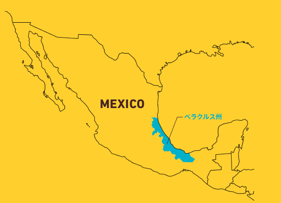 メキシコベラクルス州の場所を示している