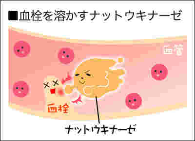 ナットウキナーゼの働き