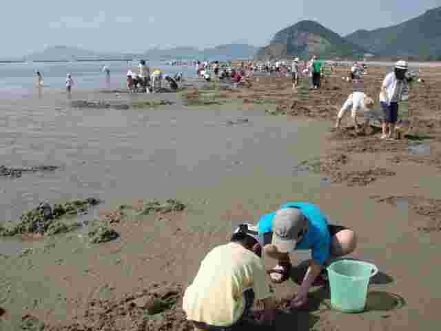 潮干狩り