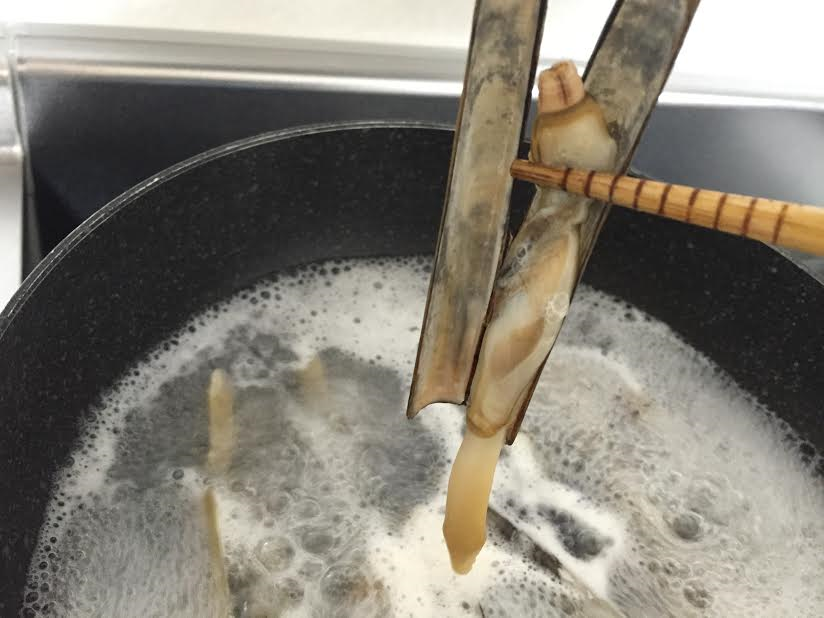 下茹で中のマテ貝