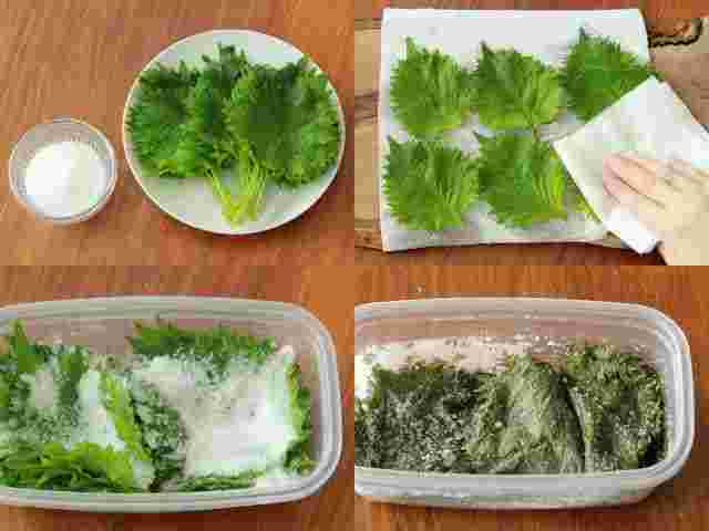 大葉塩漬けの手順