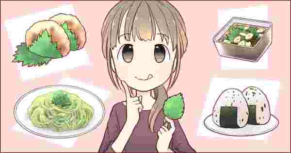 大葉は薬味だけではない