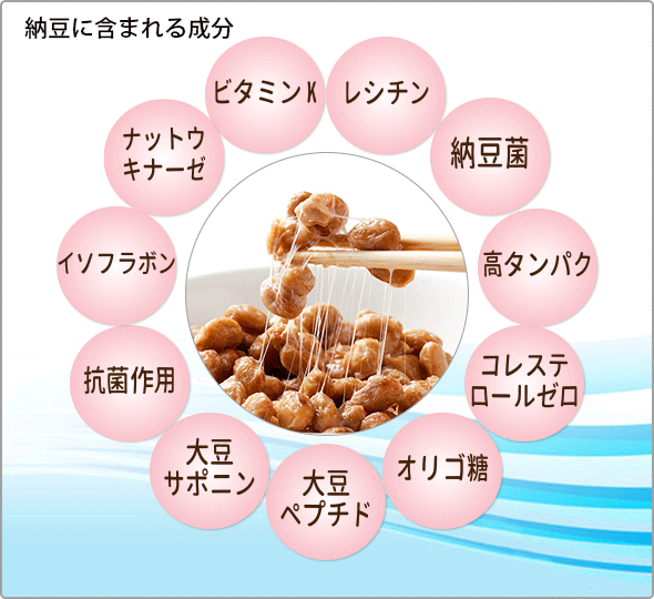 納豆の栄養素