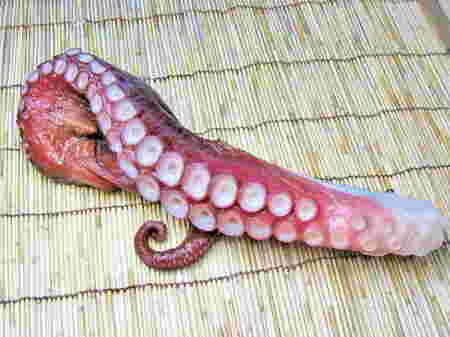 タコの切り身