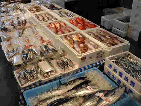 清水の魚市場