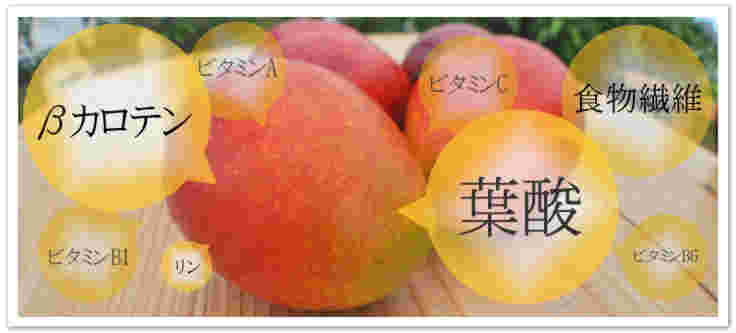 アップルマンゴーの栄養