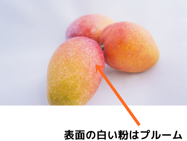 プルーム