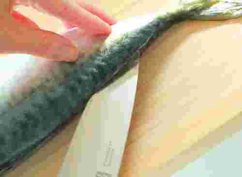 さばの半身を切り取る