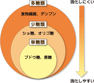 バナナの糖質の種類