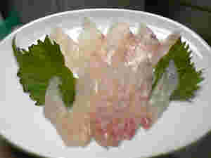 新鮮なうちしか味わえない刺身