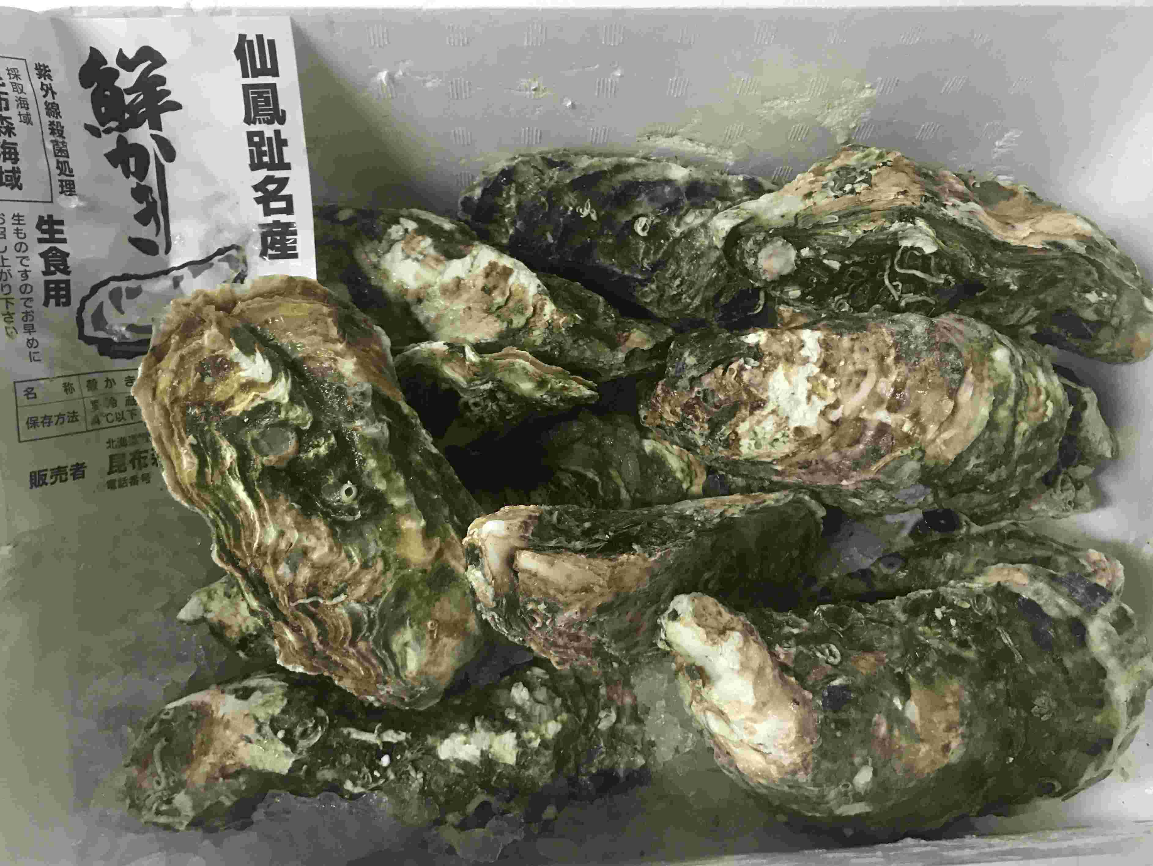 北海道仙鳳趾のカキ