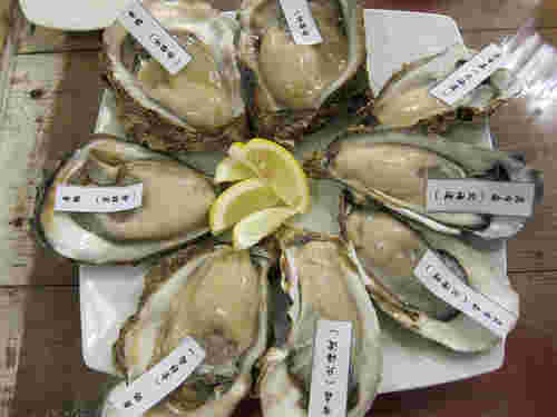産地別のカキ