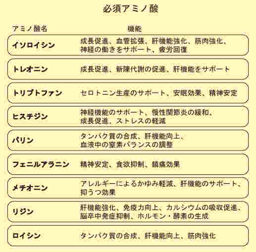 必須アミノ酸の一覧