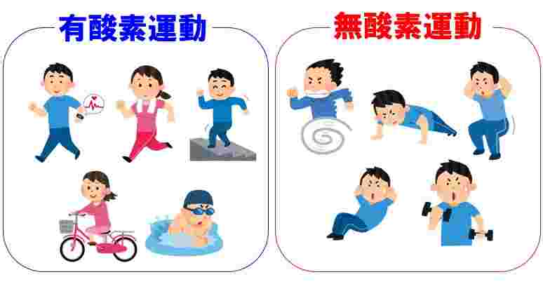 有酸素運動と無酸素運動の説明