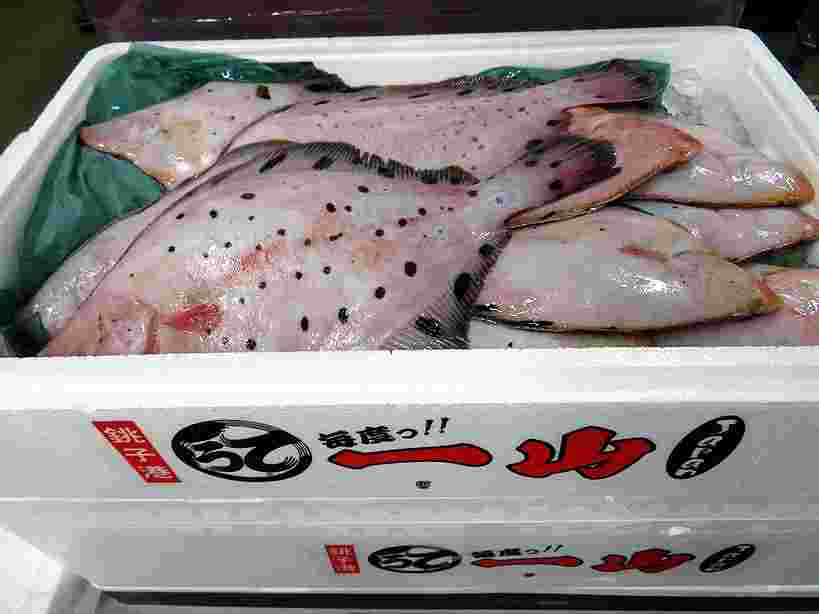 水揚げされ箱に詰められた大量のホシガレイ