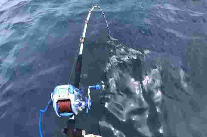 ホシガレイを船の上で釣りをしかけている様子