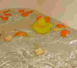 みかんの皮を浮かべたお風呂