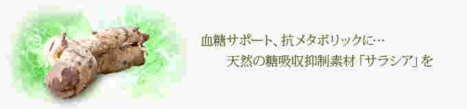 サラシア