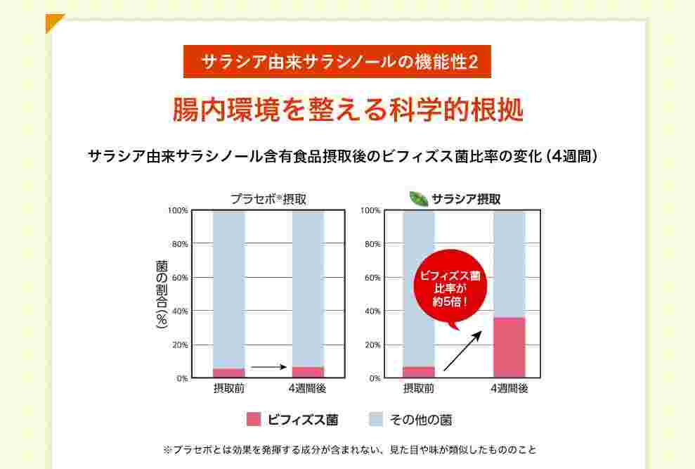 腸内環境を整える効果
