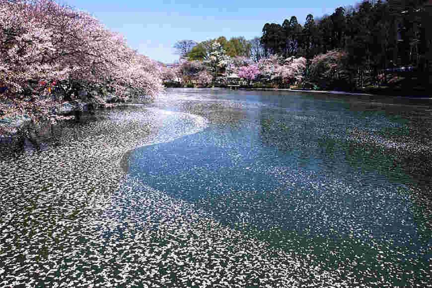 長野県須坂市の風景