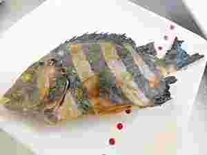 イシダイの塩焼き