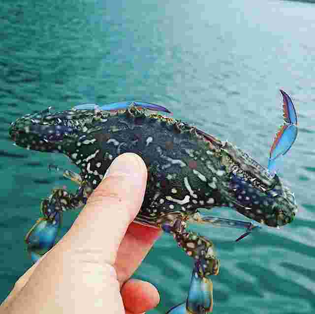ガザミの名前の由来