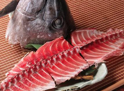 マグロの頭と身がついた骨