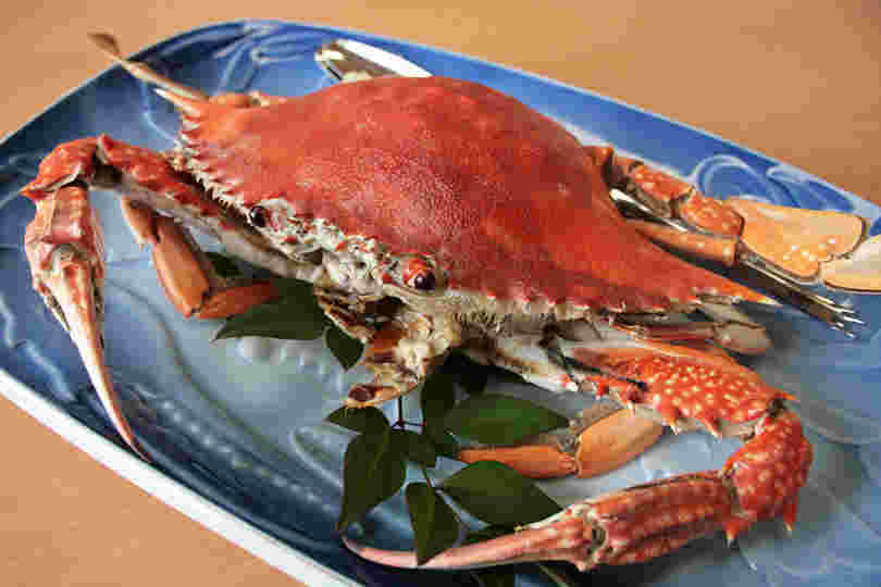 ガザミ（ワタリガニ）の1品料理