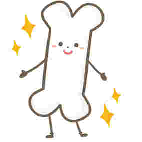 健康な骨