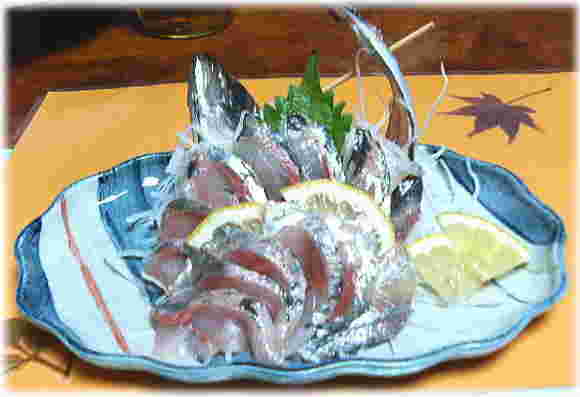 アジの刺身