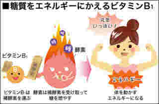 糖質をエネルギーに変えるビタミンB1