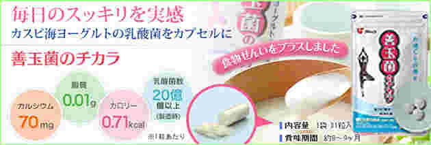 善玉菌のチカラの成分などのイメージ画