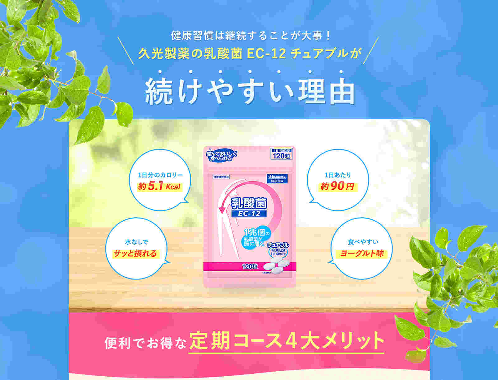 乳酸菌EC-12
