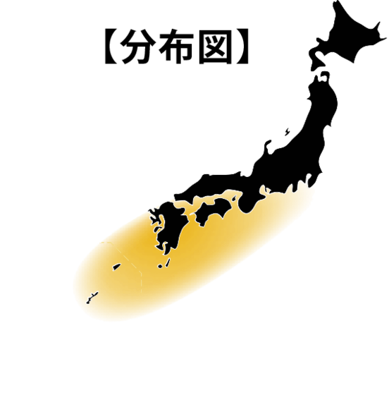 シブダイ(フエダイ)の分布図