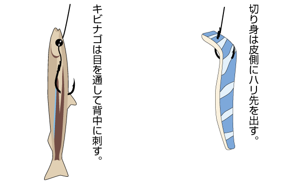 釣りの餌₋切り身の付け方