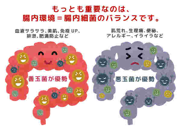 腸内環境が良好と悪い状態でどう違うかわかる図解