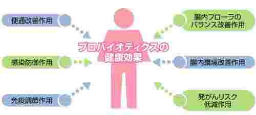 プロバイオティクスの効果がわかる図解