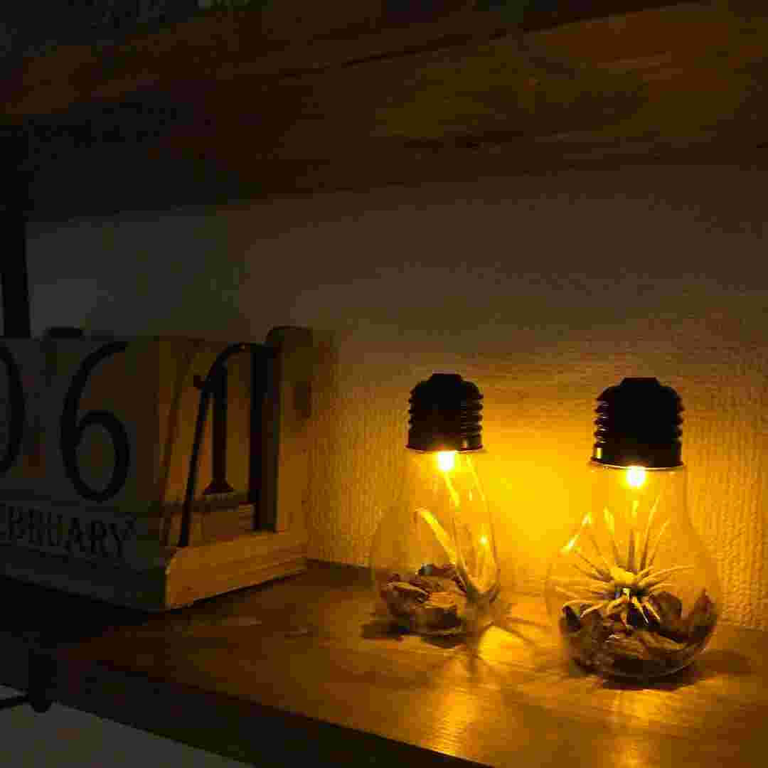 電球型オーナメントの使用例