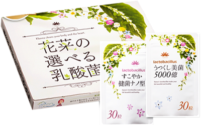 花菜の選べる乳酸菌