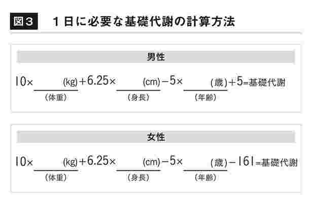 基礎代謝の出し方