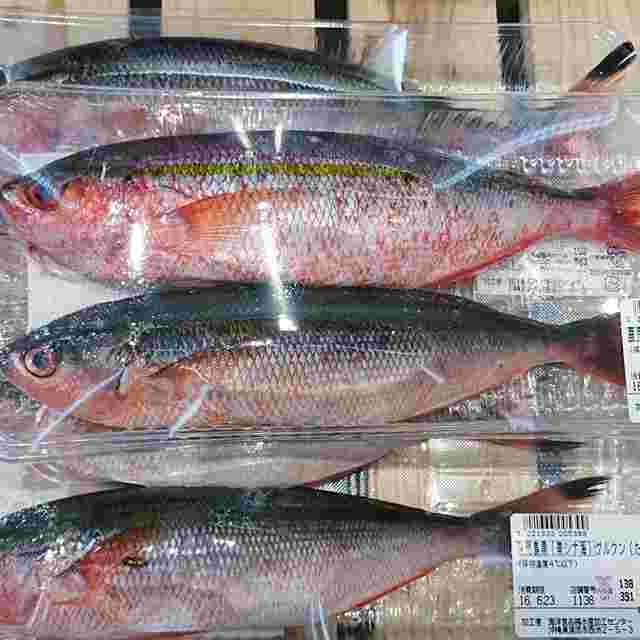 販売されているタカサゴ