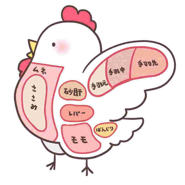 鶏の部位イラスト