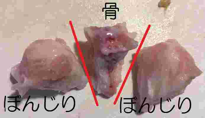 骨の下処理