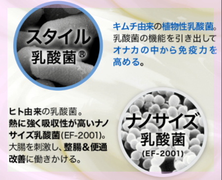 2種類のスーパー植物性乳酸菌ナノサイズとスタイル