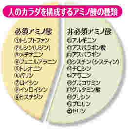 アミノ酸の種類