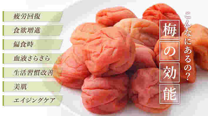 美容や健康に良いとされる梅干しの効果効能の数々
