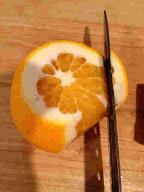 いよかんを包丁で剥く