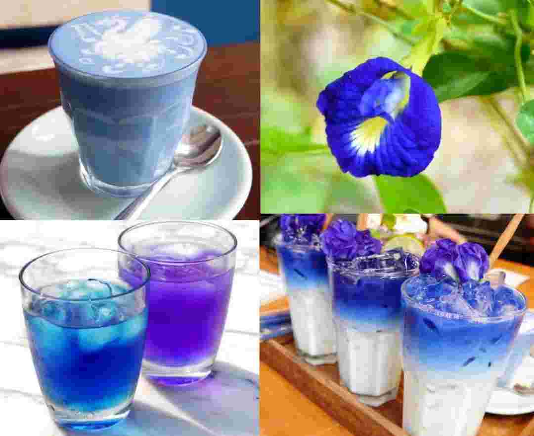 青の花茶の画像