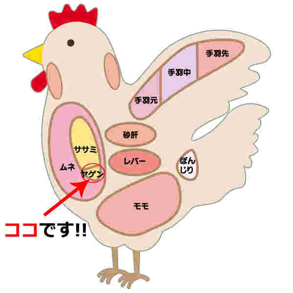 やげん軟骨の場所がわかる鶏の部位の図