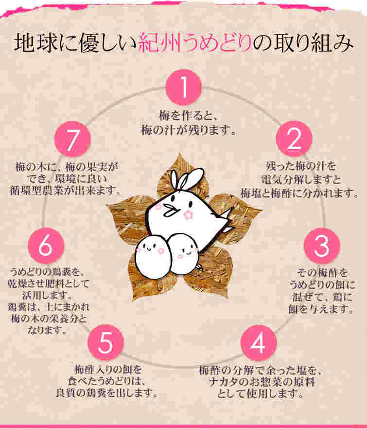 紀州うめ鶏の取り組みの図